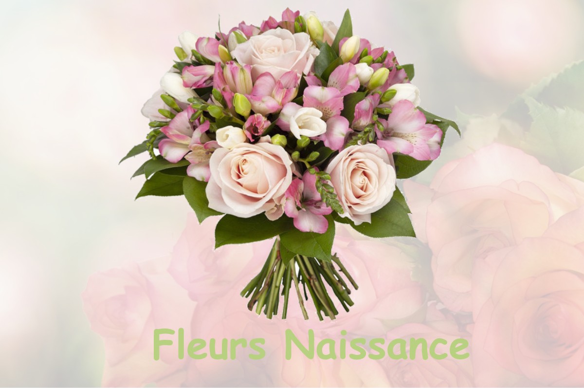 fleurs naissance CHATEAU-RENARD