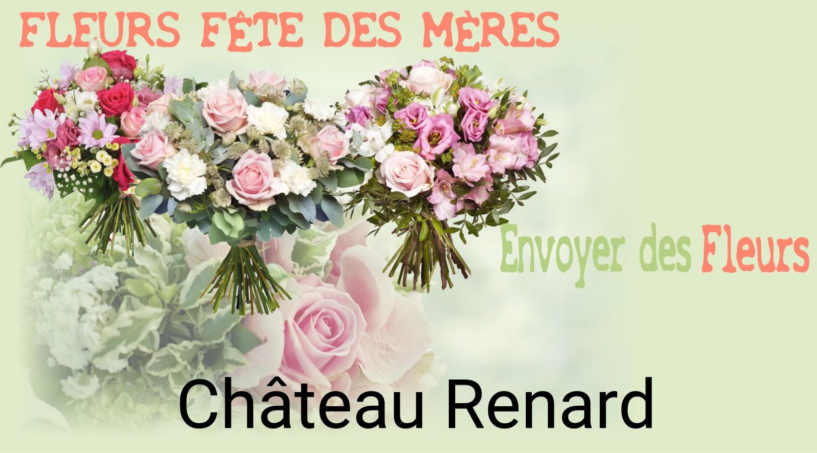 Bouquet de Fête des Mères livré à Château-Renard